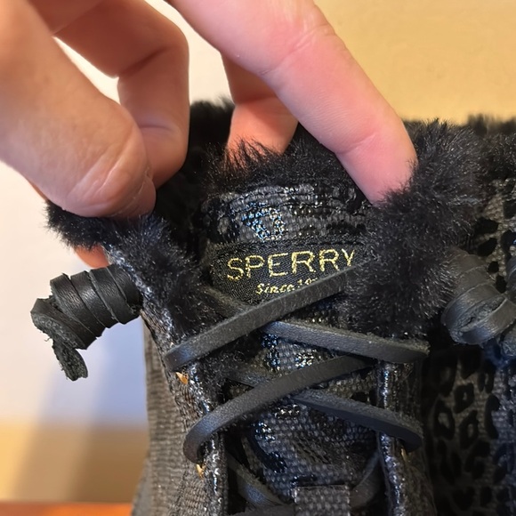 Sperry Crest Vibe Canvas High Top Sneaker - Picture 3 of 9